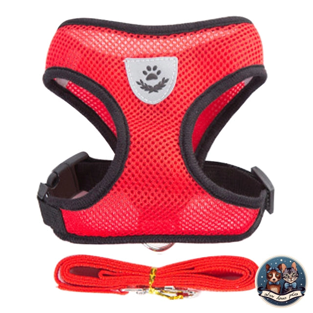 רתמה לכלב קטן עד בינוני - בוטיק החתול והכלב - בינוני / אדום - בוטיק החתול והכלב - לחתול - לכלב - cat - dog - catopia - petbest - פט בסט - אוכל - חול - מזרקת מים - דלת - גדול - קערות גג לחיות - רתמה - קטן - מצלמה - מתקן האכלה - נעליים - מיטה מזרקה - קערה - ג'אנגו