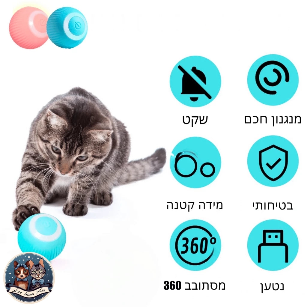 צעצוע כדור אינטראקטיבי לחתול - בוטיק החתול והכלב - בוטיק החתול והכלב - לחתול - לכלב - cat - dog - catopia - petbest - פט בסט - אוכל - חול - מזרקת מים - דלת - גדול - קערות גג לחיות - רתמה - קטן - מצלמה - מתקן האכלה - נעליים - מיטה מזרקה - קערה - ג'אנגו