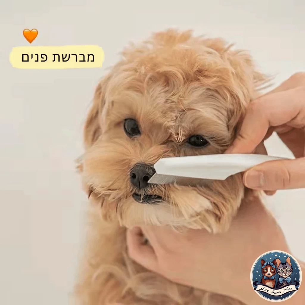 מברשת פנים לכלבים - בוטיק החתול והכלב - בוטיק החתול והכלב - לחתול - לכלב - cat - dog - catopia - petbest - פט בסט - אוכל - חול - מזרקת מים - דלת - גדול - קערות גג לחיות - רתמה - קטן - מצלמה - מתקן האכלה - נעליים - מיטה מזרקה - קערה - ג'אנגו